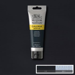 Galeria Payne's Gray