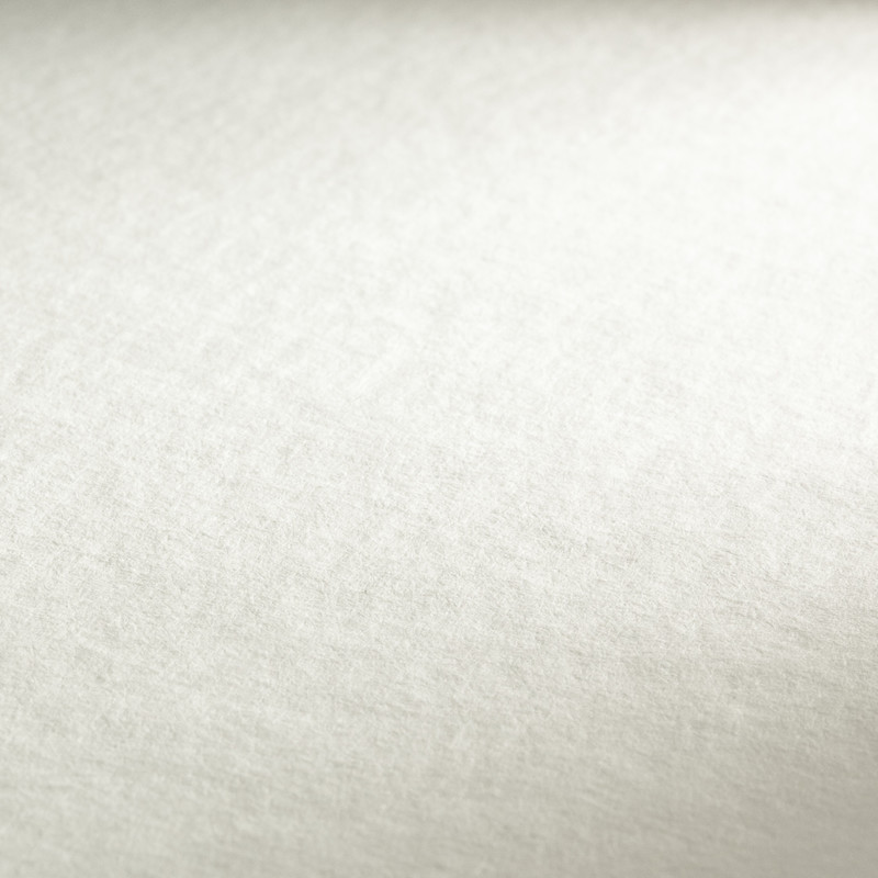 Hahnemühle Acrylic 450g