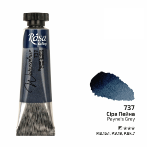 Payne's Grey (737) - Rosa Gallery Tub 10 ml